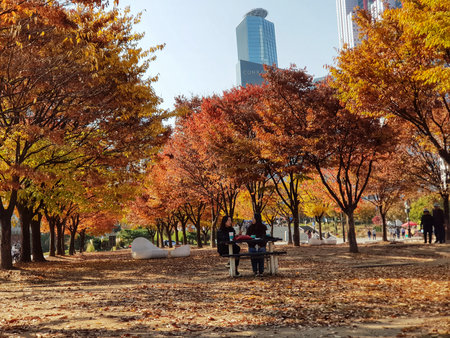 Seoul, South Korea on 11 Nov 2024. People sitting at picnic table surrounded by colorful autumn trees in urban park with fallen leaves, creating a peaceful scene perfect for seasonal travel.のeditorial素材