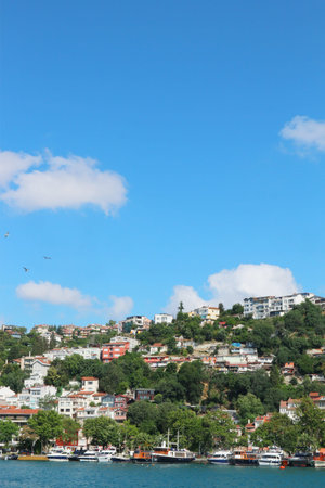 Scenic townscape displays houses dotting a hill leading to the coast, with boats in the water on a bright sunny day Perfect for travel and landscape designs.のeditorial素材
