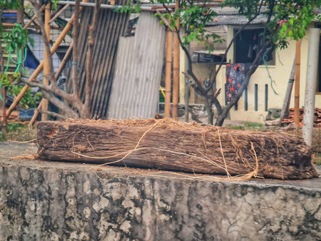 Bekasi, Indonesia on 12 Jun 2025. Rustic wood block with root remnants sits on a concrete surface, suggesting age and exposure Ideal for illustrating decay or simple outdoor themes.のeditorial素材