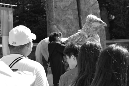 Osaka, Japan on 3 Oct 2023. A black and white photograph depicts several people observing large sculptures of a horse and an eagle. The scene is set outdoors in a park-like environment, with stone structures in the background. The focus is on the people'sのeditorial素材