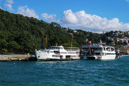 Istanbul, Turkey on 12 July 2022. Two ferry boats are docked in a bay with green hills and...