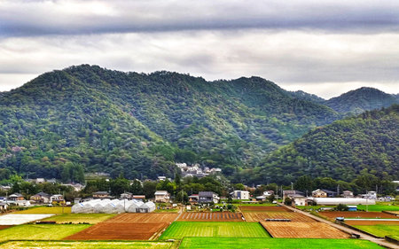 Yamanashi, Japan on 13 Oct 2025. TRural landscape showcases patchwork fields in earthy tones under a cloudy sky with rolling green hills, ideal for agricultural or travel-themed marketing.のeditorial素材