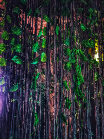 Lush green leaves adorn cascading vines creating a textured natural backdrop perfect for botanical...