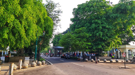 Yogyakarta, Indonesia on 23 Feb 2025. Malioboro. A tranquil street view with a road lined with...