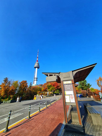 Seoul, South Korea on 11 Nov 2024. Tall city tower stands amidst colorful autumn trees under a clear blue sky, viewed from a park area with benches and pathways Perfect for travel and urban photography.のeditorial素材