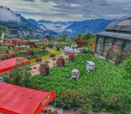 Sa Pa, Vietnam on 15 May 2025. Vibrant flower garden showcasing masses of white flowers, red blossoms, and greenery against a scenic mountain backdrop with a glass building under an overcast sky, ideal for tourism and travel campaigns.のeditorial素材