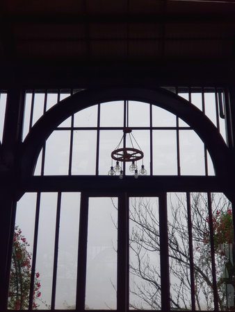 Dim interior view through large arched window with chandelier, foggy exterior and tree branches visible, suitable for mood, interior design, or.