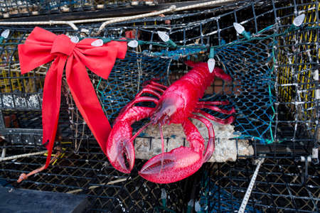 Provincetown, Massachusetts, USA-December 31, 2013  Lobster pot Christmas tree standing in Lopes Square, Provincetown, Massachusetts  のeditorial素材