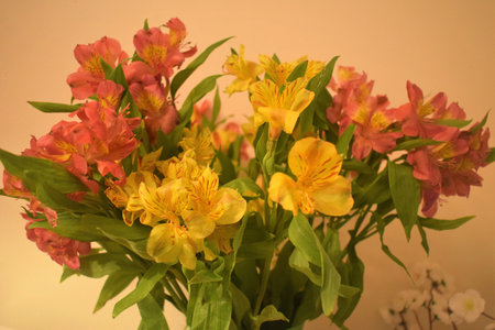 Bouquet of red and pink flowers in vase.の写真素材
