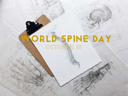 WORLD SPINE DAYの写真素材