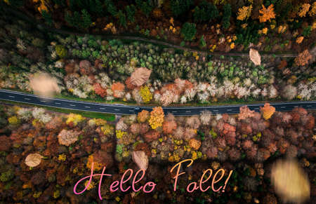 HELLO FALLの写真素材