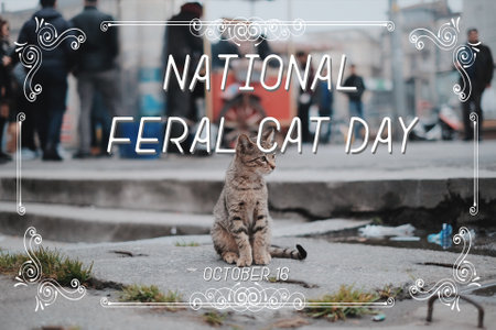 FERAL CATSの写真素材