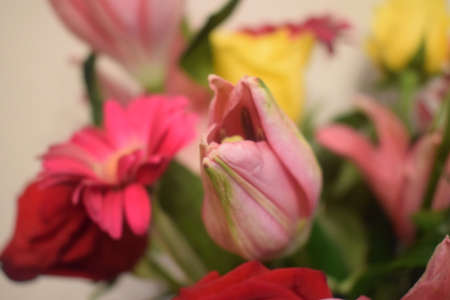 Bouquet of flowersの写真素材