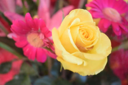 Bouquet of flowersの写真素材