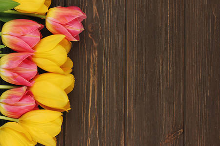 Spring tulips on wooden backgroundの写真素材