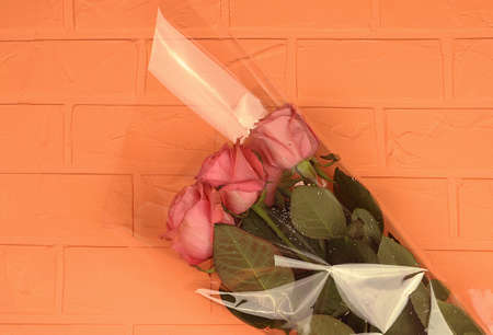 Bouquet of pink roses on orange backgroundの写真素材