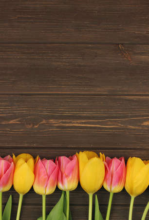Spring tulips on wooden backgroundの写真素材