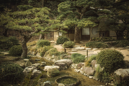 Japanese garden at sunsetの写真素材
