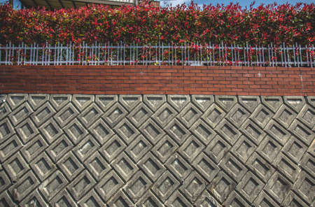 Gray wall with masonry and red flowersの写真素材