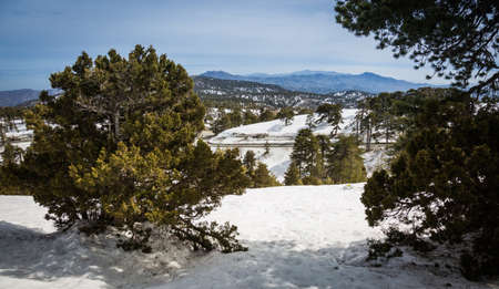 Snow in the mountains of Cyprusの写真素材