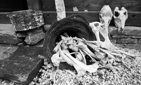 Basket with bones and skulls on the porch near the house on the stones