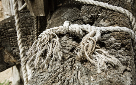 Old rope on a wooden surface