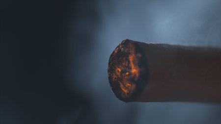 Burning end of a cigarette macro background 2