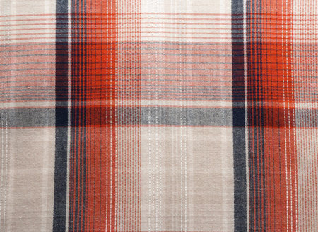 Red and Blue Tartan Fabric