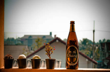 beer in middayのeditorial素材