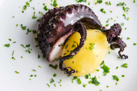 Vacuum cooked octopus at low temperature with potatoの写真素材