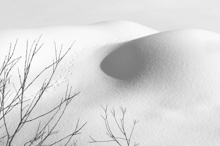 Traces in the pristine snowの写真素材