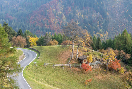 Schilpario, Italy: autumn colors in mountain.の写真素材