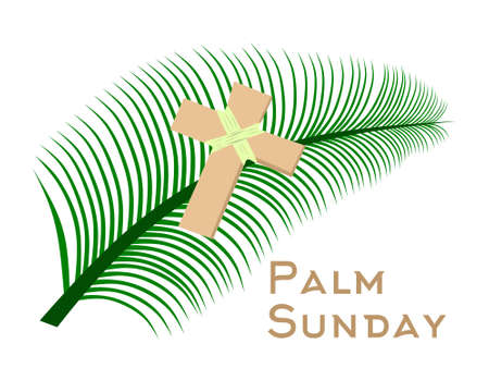 Illustration vector graphic of palm sundayのイラスト素材