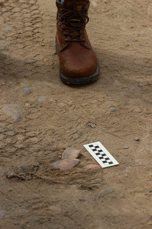 An archaeologist at field work with pottery find