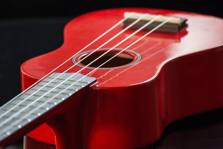 detail of the body and the keyboard of a soprano ukuleleの写真素材