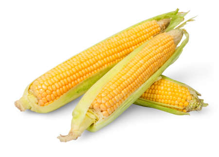 Three partially peeled corn cob lying cross isolated on white backgroundの写真素材