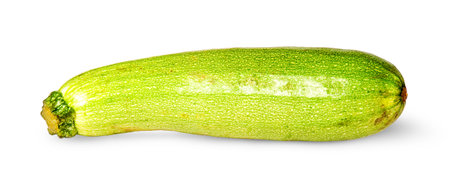 Single fresh courgette isolated on white backgroundの写真素材