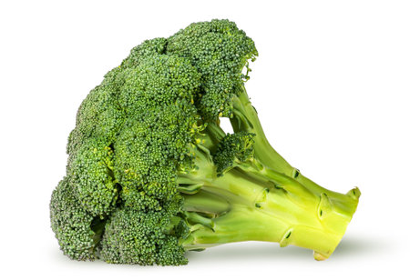 Large inflorescences of fresh broccoli lying isolated on white background