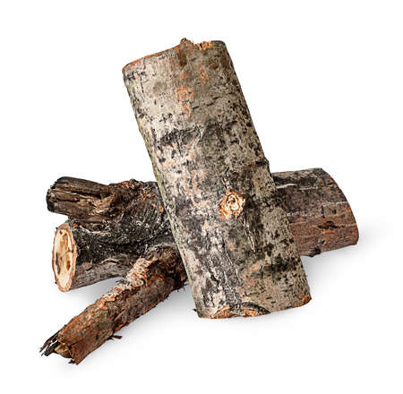 Two poplar logs isolated on white backgroundの写真素材