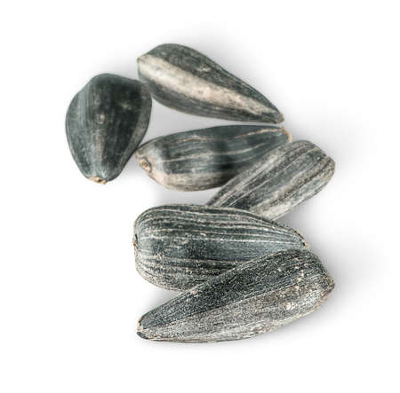 Several sunflower seeds in a row isolated on white backgroundの写真素材