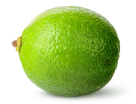 One whole ripe limeの写真素材