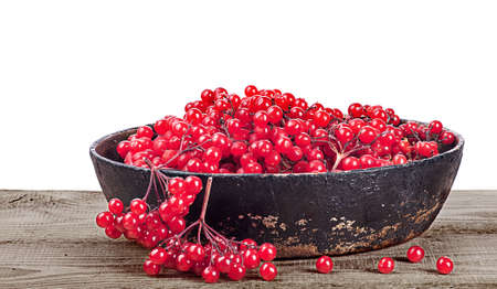 Viburnum in cast iron frying panの写真素材