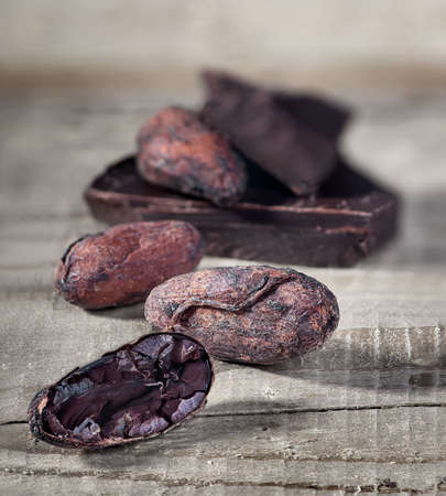 Cocoa beans and piece of dark chocolateの写真素材