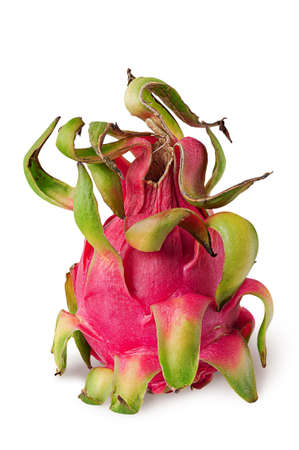 Dragon fruit vertically isolated on a whiteの写真素材