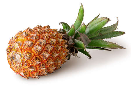 Single pineapple lies isolated on a whiteの写真素材