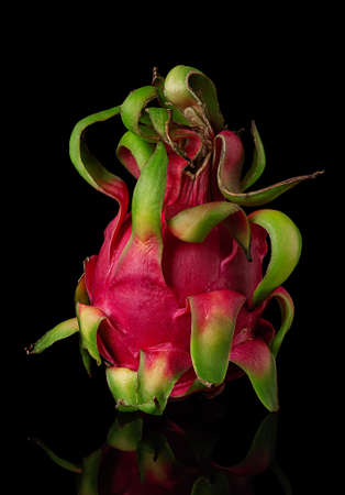 Dragon fruit vertically on black background with reflectionの写真素材