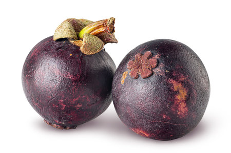 Two ripe mangosteen isolated on a white backgroundの写真素材