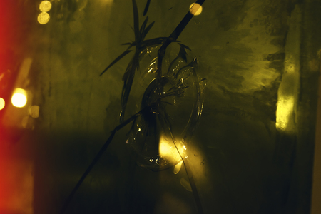 Bullet hole marks and scratches on a bulletproof car windowの写真素材