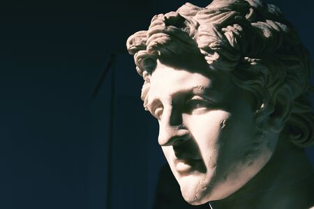 Greek Sculpture Headの写真素材