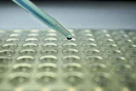 Pipette dropper filling PCR plate with research liquidの写真素材